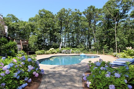 Brewster Cape Cod vacation rental - Pool