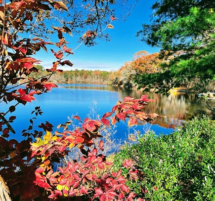 in East Falmouth, waterfront  Cape Cod vacation rental - Our beautiful pond in autumn