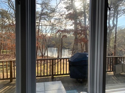 Orleans Cape Cod vacation rental - View from kitchen window--the ducks never cease to entertain!