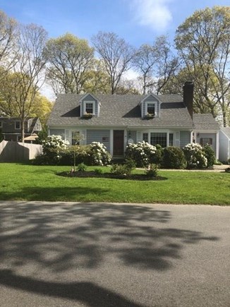 Falmouth, Maravista Cape Cod vacation rental - Flowers in Bloom!
