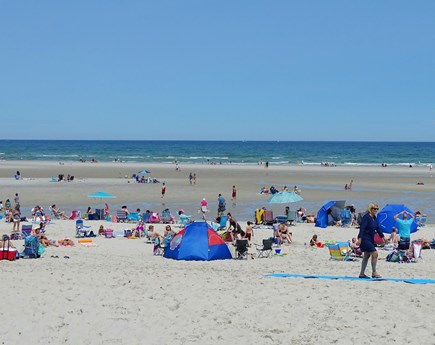 Dennis Cape Cod vacation rental - Drive a few miles to Mayflower Beach for the softest Cape sand!