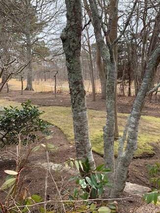 New Seabury Cape Cod vacation rental - View from back of condo