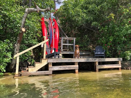 Brewster Cape Cod vacation rental - Private dock with paddleboard and kayaks