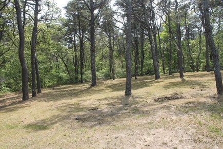 Eastham, Nauset Light - 1195 Cape Cod vacation rental - Backyard