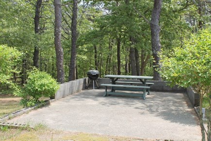 Eastham, Nauset Light - 1195 Cape Cod vacation rental - Patio