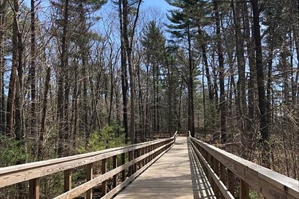 Harwich, Wyndemere Condominiums Cape Cod vacation rental - Harwich Trails in Autumn are spectacular!