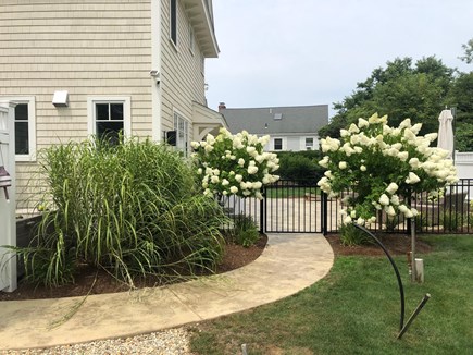 Brewster Cape Cod vacation rental - Beautiful landscaping