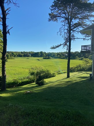 Chatham Cape Cod vacation rental - View of back yard and marsh from side of cottage