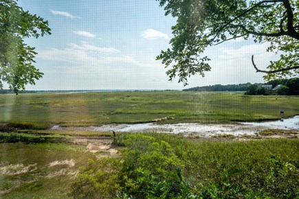 Eastham Cape Cod vacation rental - Backyard view.
