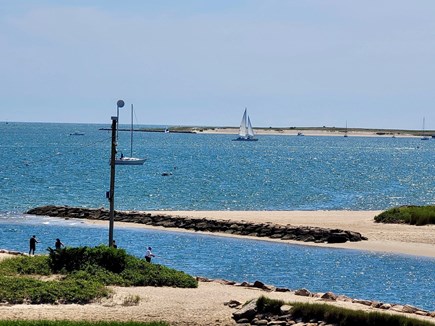 West Yarmouth Cape Cod vacation rental - Always something to see day or night