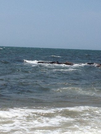 Dennisport Cape Cod vacation rental - Beautiful Cape Cod ocean
