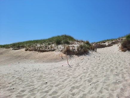 Barnstable Cape Cod vacation rental - Sandy Neck Beach & Dunes just 1/2 mile away