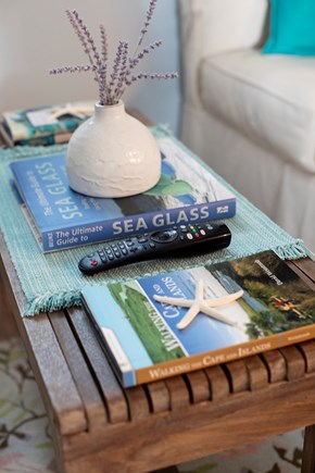 Yarmouth Cape Cod vacation rental - Lots of area info/informational reading and great beach reads!!