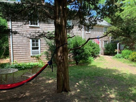 North Eastham Cape Cod vacation rental - View of the eastern side of the house