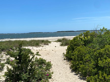 Yarmouth Cape Cod vacation rental - The path to the beach