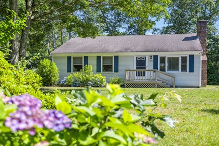 Eastham Cape Cod vacation rental - Hydrangeas in bloom