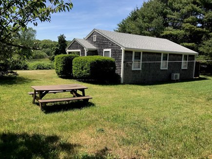 Orleans Cape Cod vacation rental - Yard with picnic table