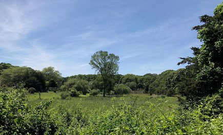 Orleans Cape Cod vacation rental - View