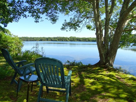 Dennis Cape Cod vacation rental - Welcome to our 5 bedroom retreat on Scargo Lake