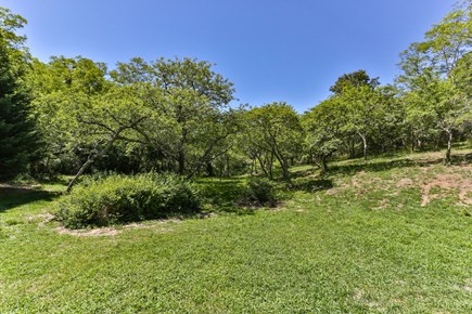 Truro Cape Cod vacation rental - Run wild in the meadow!
