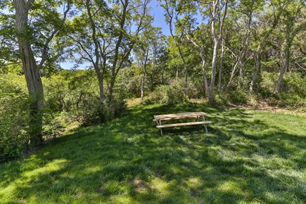 Truro Cape Cod vacation rental - Enjoy your breakfast, lunch and dinner outside in our meadow.