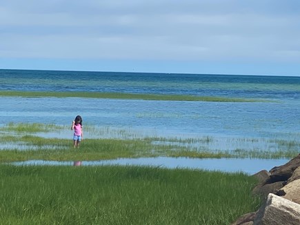 Brewster,  On private dead end road Cape Cod vacation rental - My daughter at the beach
