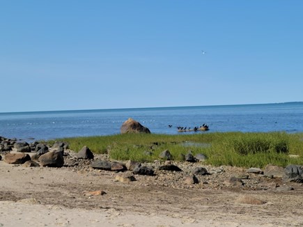 Brewster Cape Cod vacation rental - Beach- Point of Rock beach- 5/10 mile