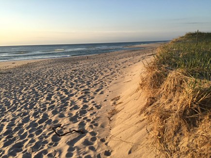East Orleans Cape Cod vacation rental - Beautiful Nauset Beach on the Atlantic, just a mile away