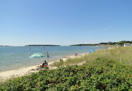 Wellfleet Cape Cod vacation rental - Beautiful Mayo Beach, just 1/4 mile walk or 1/2 mile drive away