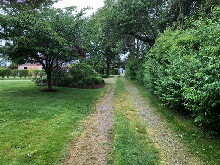 Dennis, Corporation Beach Cape Cod vacation rental - Off the main road accessed by shared, private driveway