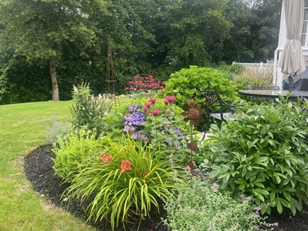 Brewster Flats off Lower Rd- R Cape Cod vacation rental - Perennial Gardens surrounded around patio w gas bbq