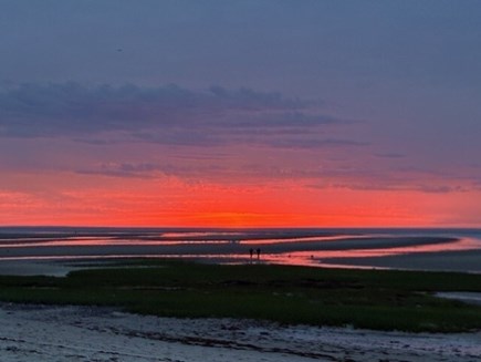 North of 6A- Walk to Brewster  Cape Cod vacation rental - 