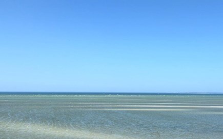 North of 6A- Walk to Brewster  Cape Cod vacation rental - Outgoing tide Brewster Flats