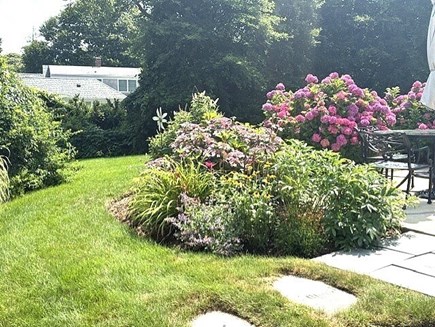 North of 6A- Walk to Brewster  Cape Cod vacation rental - Meticlously maintained Backyard Perrenial Gardens