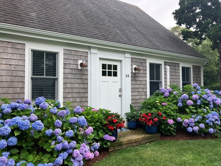 Hyannis Cape Cod vacation rental - Side door opens to living area and stairs to upstairs bedrooms