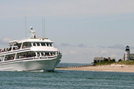 Barnstable Cape Cod vacation rental - Go on a whale watcher cruise - just minutes from Goodspeed House!