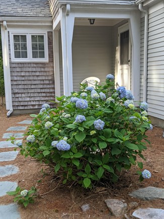 Brewster Cape Cod vacation rental - Exterior - Front