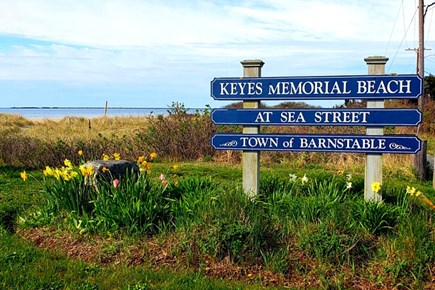 Hyannis Cape Cod vacation rental - Beach