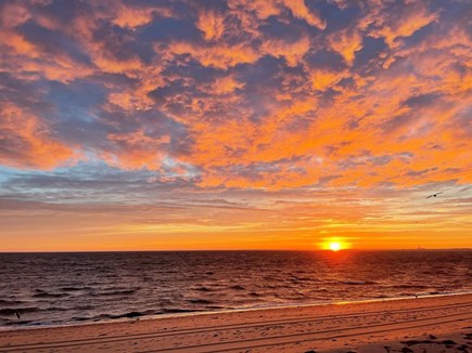 North Truro Cape Cod vacation rental - Fantastic sunsets from our beach