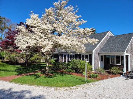Chatham Cape Cod vacation rental - Front View of the home and driveway