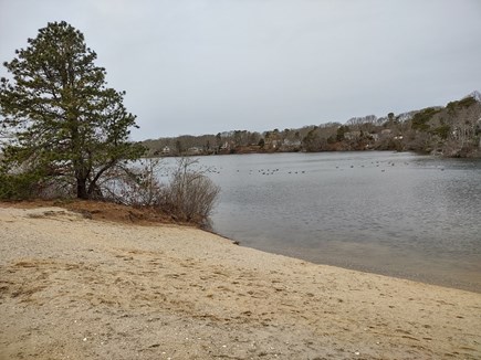 Yarmouth Port Cape Cod vacation rental - Long Pond