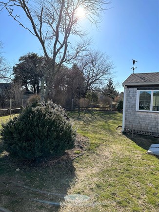 West Chatham Cape Cod vacation rental - Large fenced in yard
