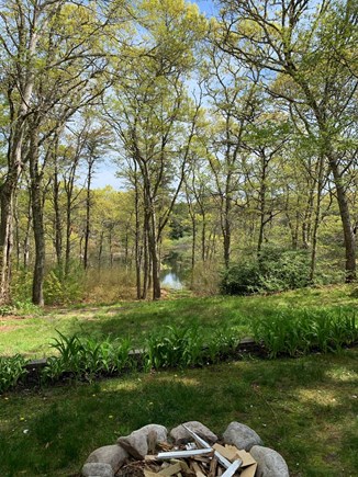 Cotuit Cape Cod vacation rental - Views of Lewis Pond from the backyard