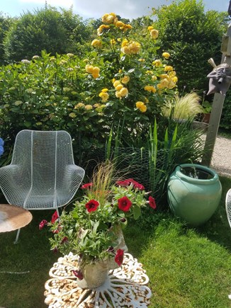 Chatham Village Cape Cod vacation rental - Seating Area