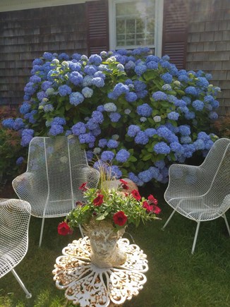 Chatham Cape Cod vacation rental - Seating Area