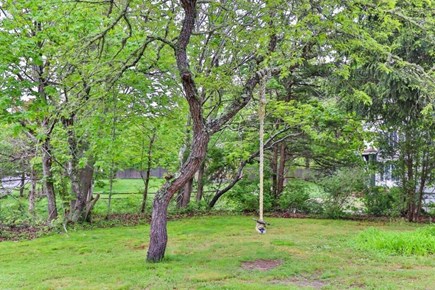Brewster Cape Cod vacation rental - Landscaped area with plants, and greenery.
