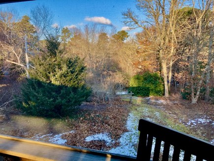 Orleans Cape Cod vacation rental - View of private yard from porch