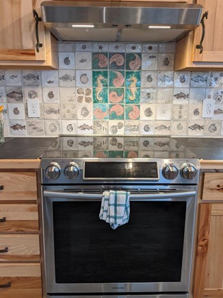 Plymouth, Priscilla Beach MA vacation rental - Kitchen backsplash with art tile mural.