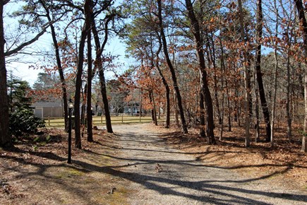 Brewster Cape Cod vacation rental - Wooded lot