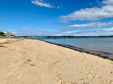 Wellfleet Village Cape Cod vacation rental - Photo taken July 6 of our end of Mayo Beach - almost vacant!